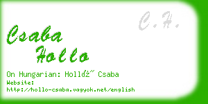 csaba hollo business card